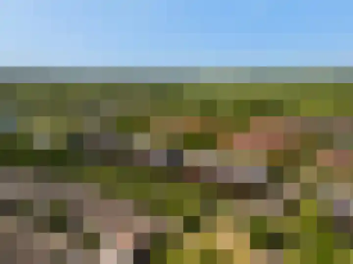 Zalm 21 Amersfoort thumbnail 28