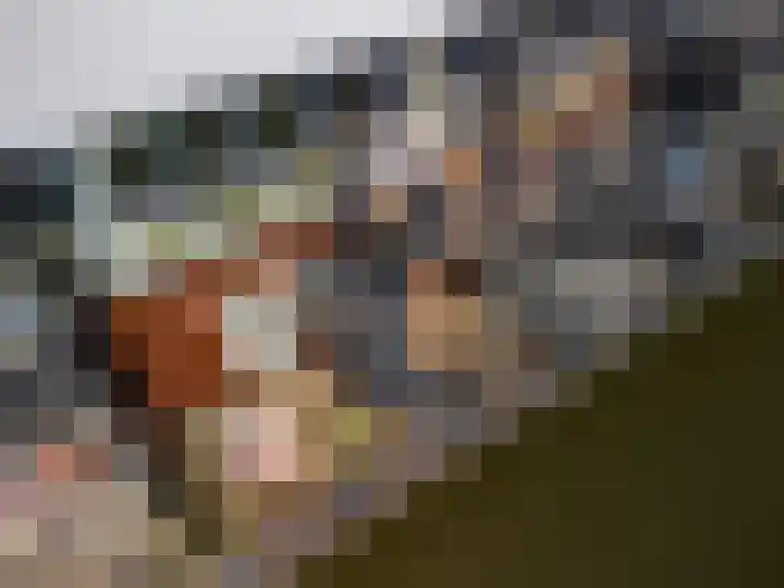 Zalm 21 Amersfoort thumbnail 29