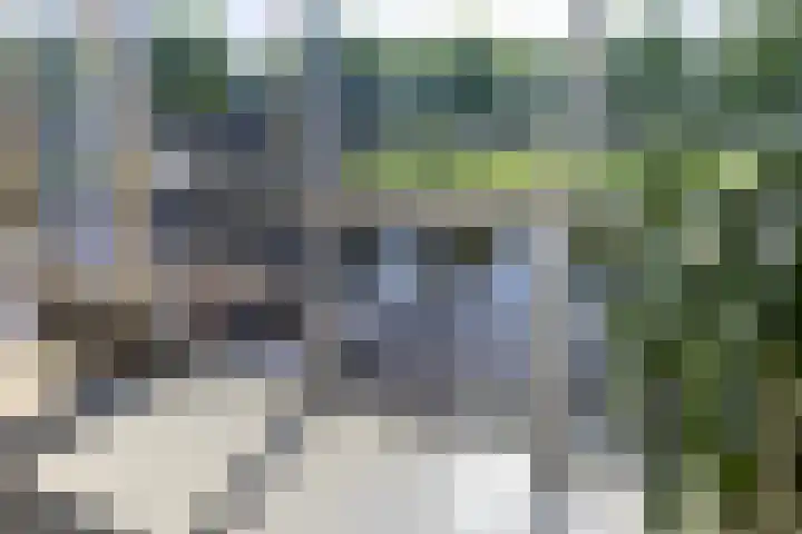 Zalm 21 Amersfoort thumbnail 4