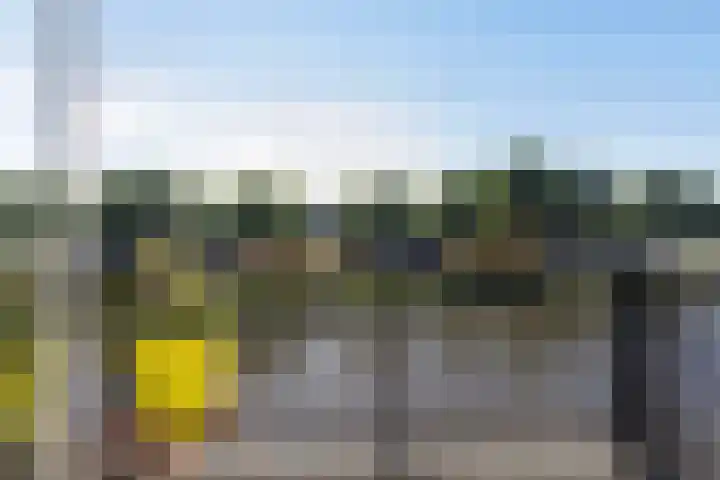 Zalm 21 Amersfoort thumbnail 5