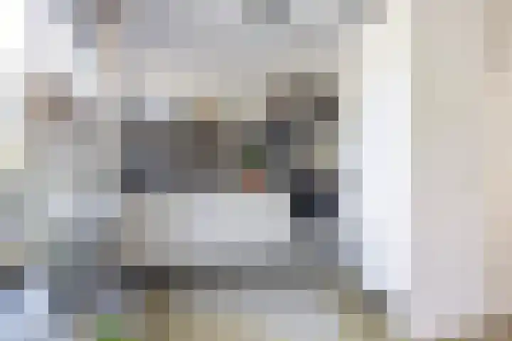 Zalm 21 Amersfoort thumbnail 6