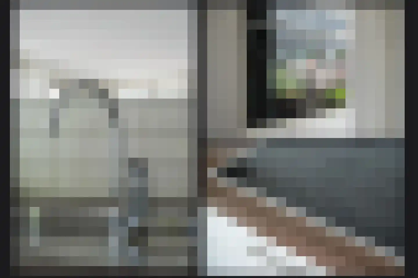 Zalm 222 Hendrik-Ido-Ambacht thumbnail 15
