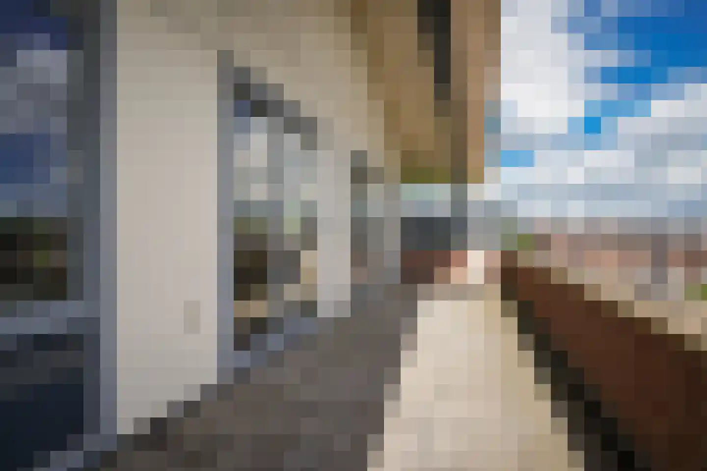 Zalm 222 Hendrik-Ido-Ambacht thumbnail 28