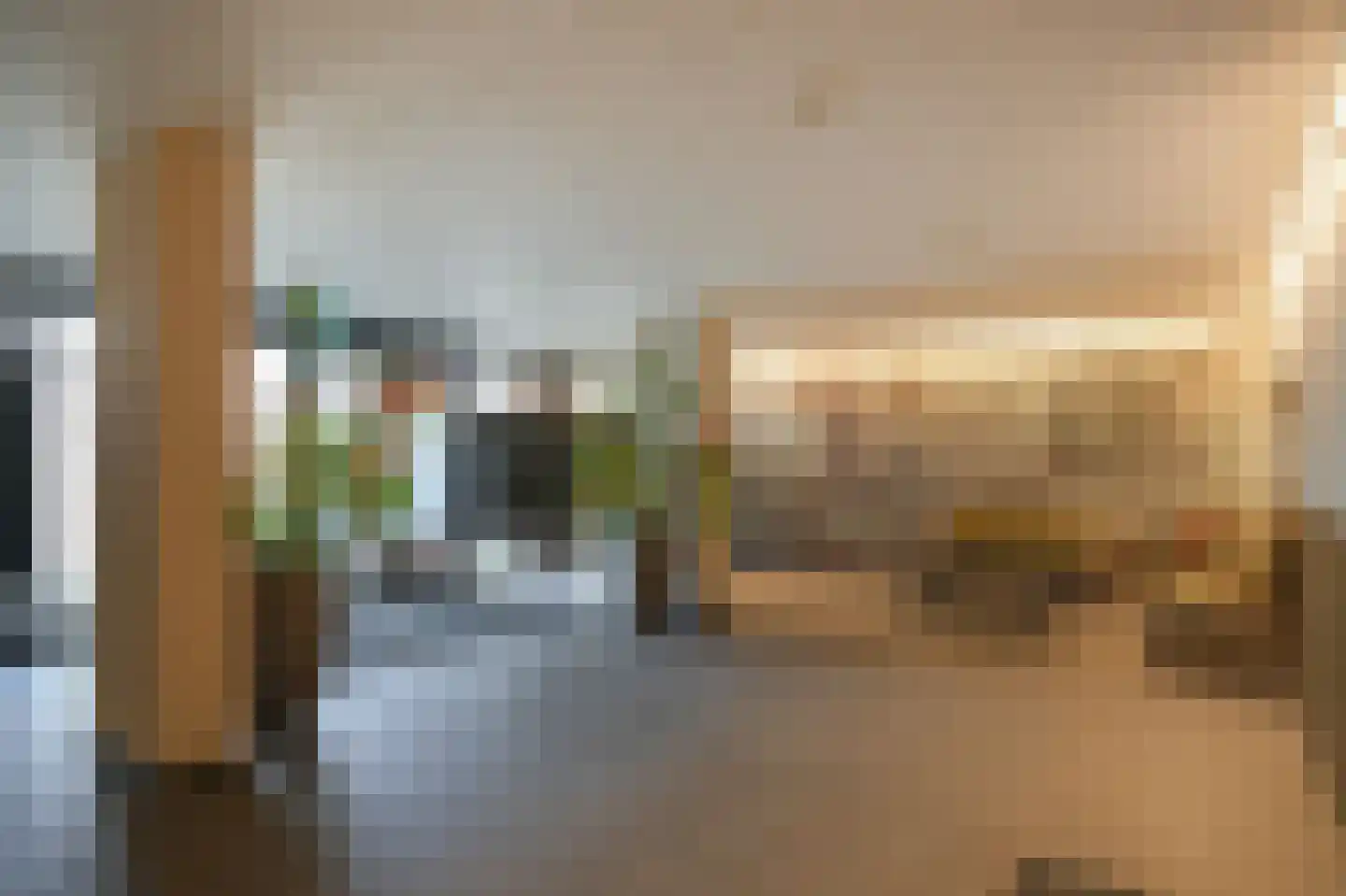 Zalm 222 Hendrik-Ido-Ambacht thumbnail 50