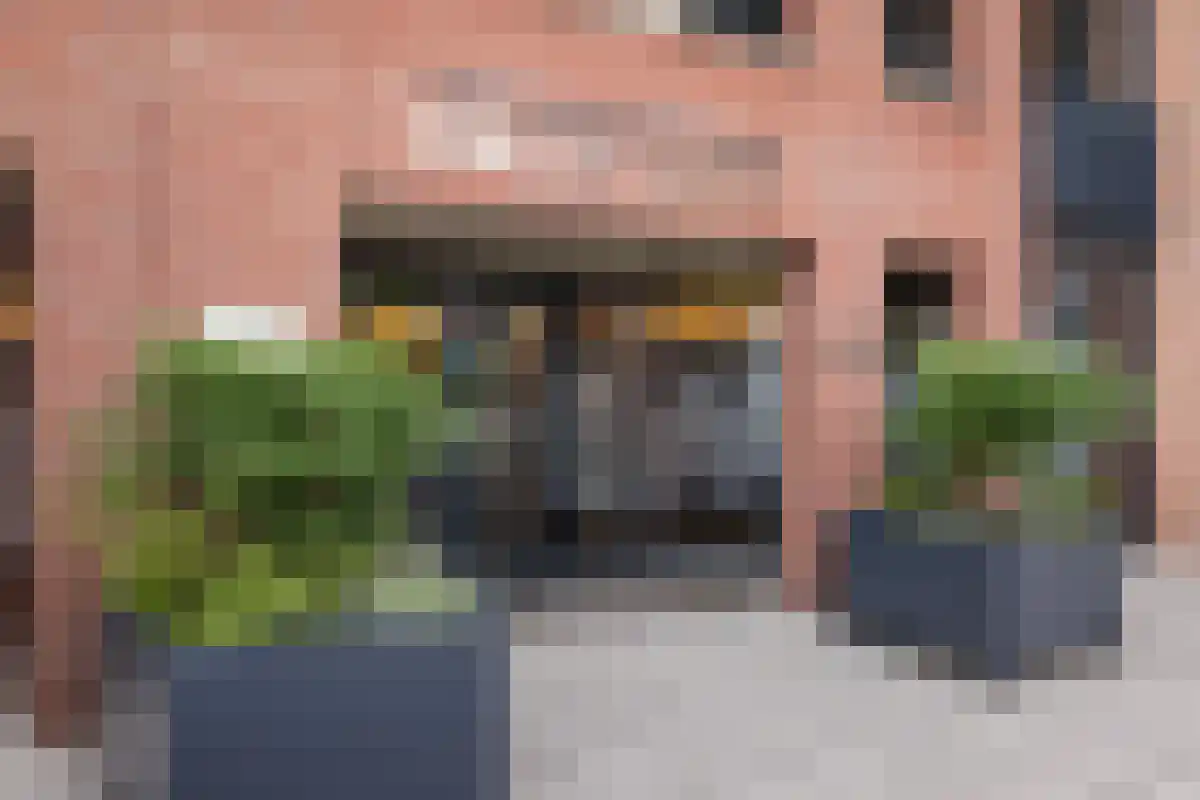Zalm 226 Hendrik-Ido-Ambacht thumbnail 4