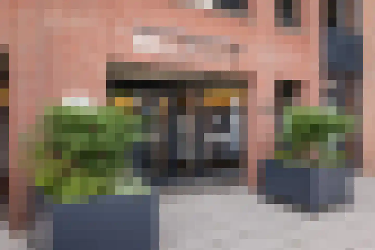 Zalm 226 Hendrik-Ido-Ambacht thumbnail 4