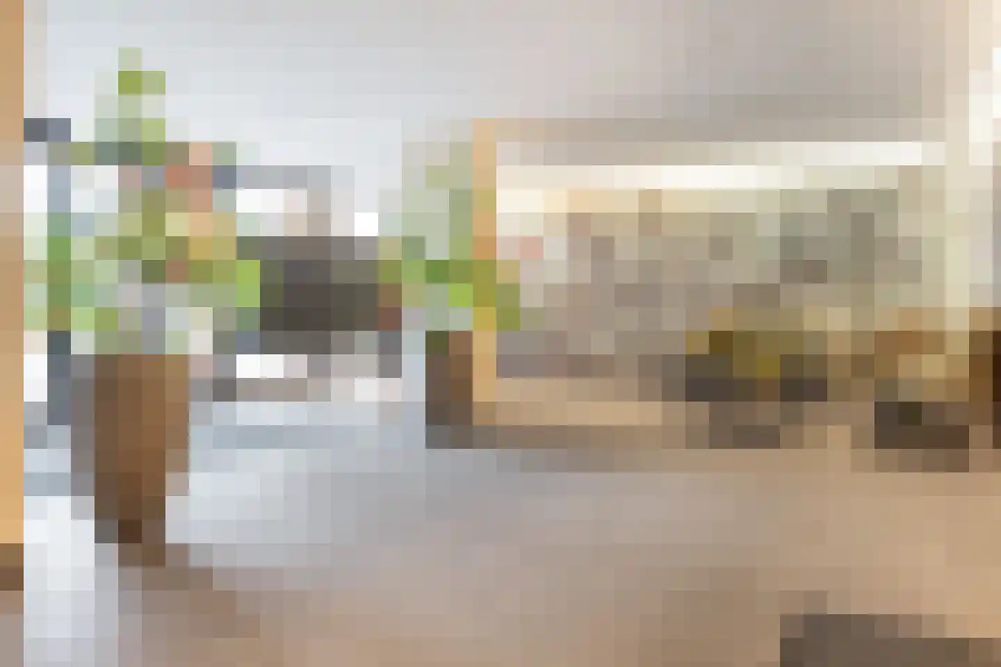 Zalm 226 Hendrik-Ido-Ambacht thumbnail 5