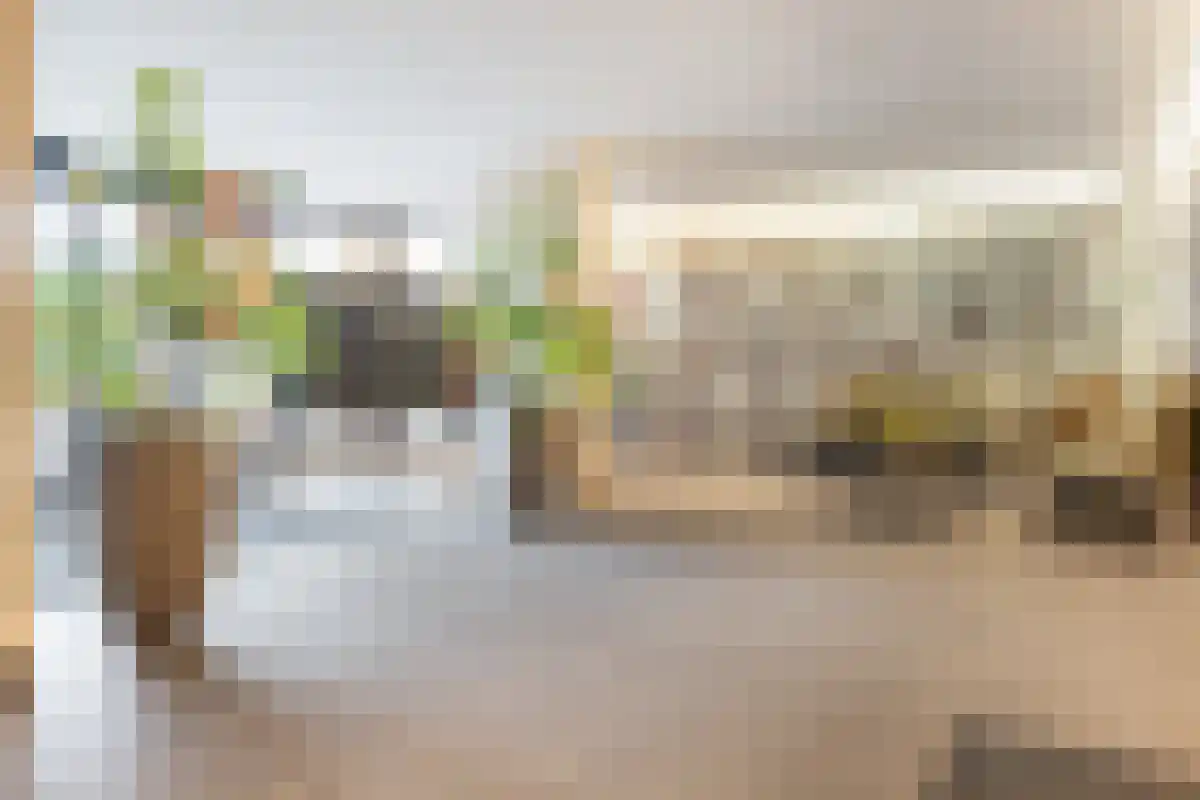 Zalm 226 Hendrik-Ido-Ambacht thumbnail 5