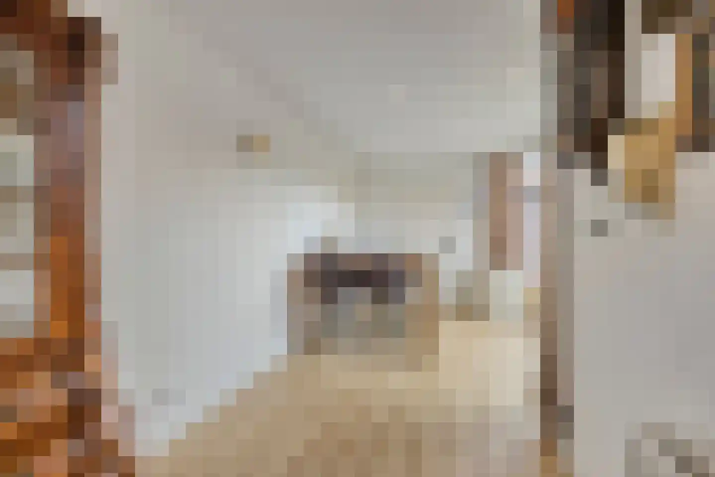 Zalm 32 Oss thumbnail 11