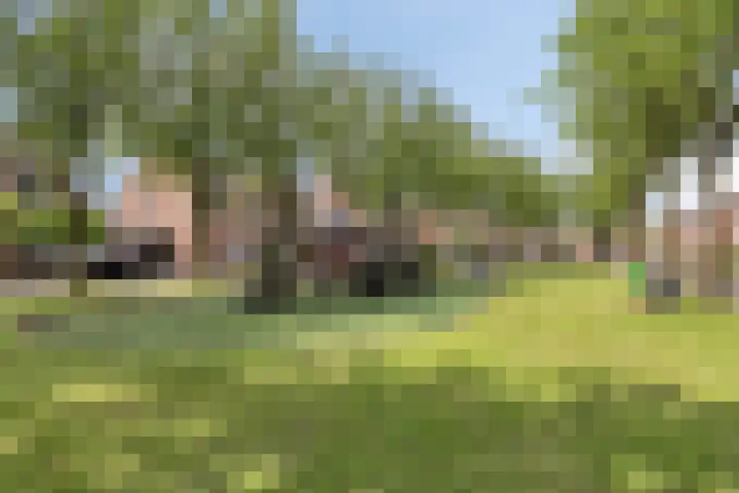 Zalm 32 Oss thumbnail 42