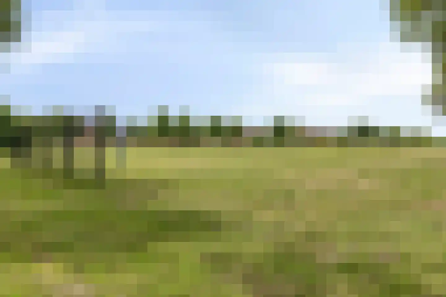 Zalm 32 Oss thumbnail 43