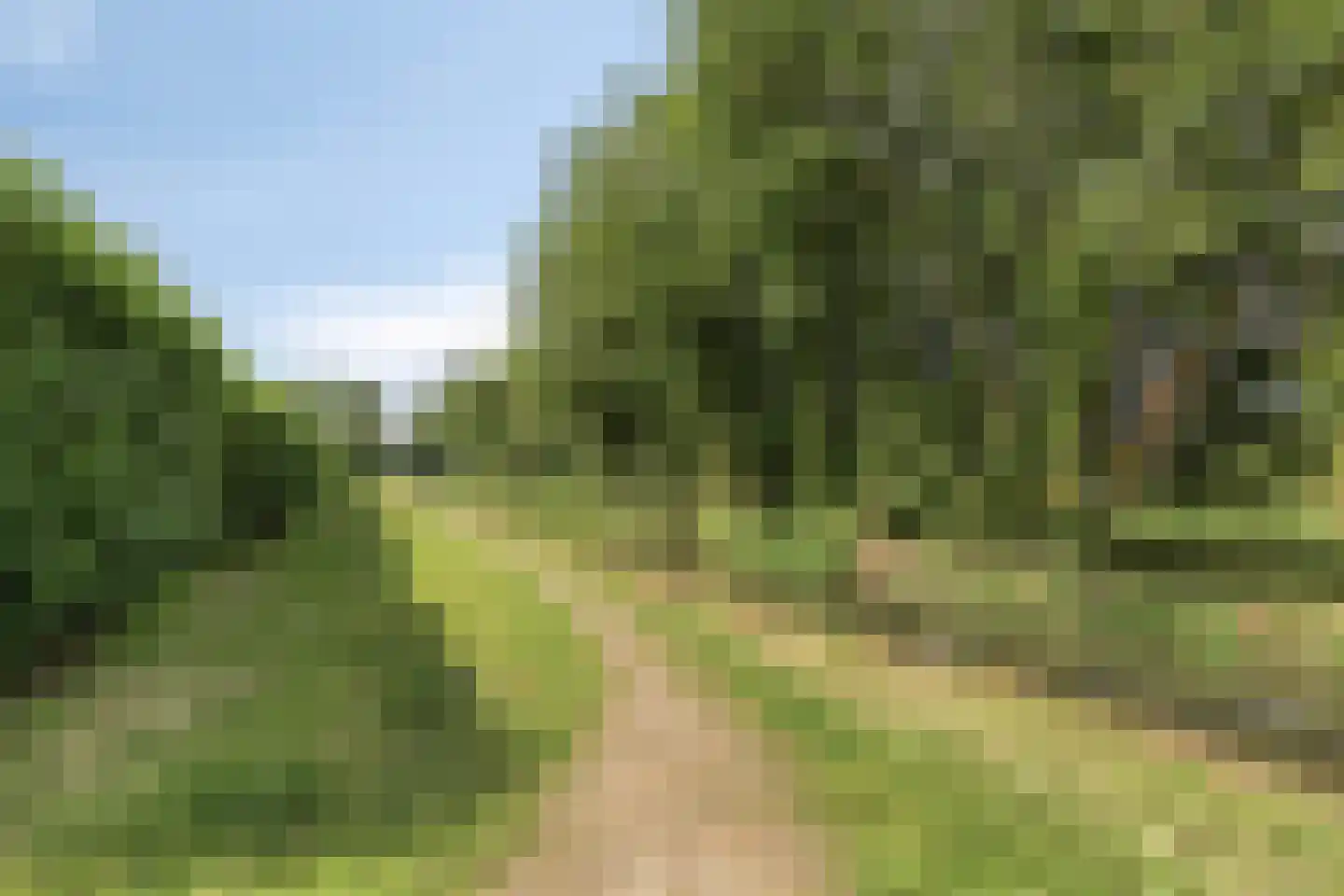 Zalm 32 Oss thumbnail 45
