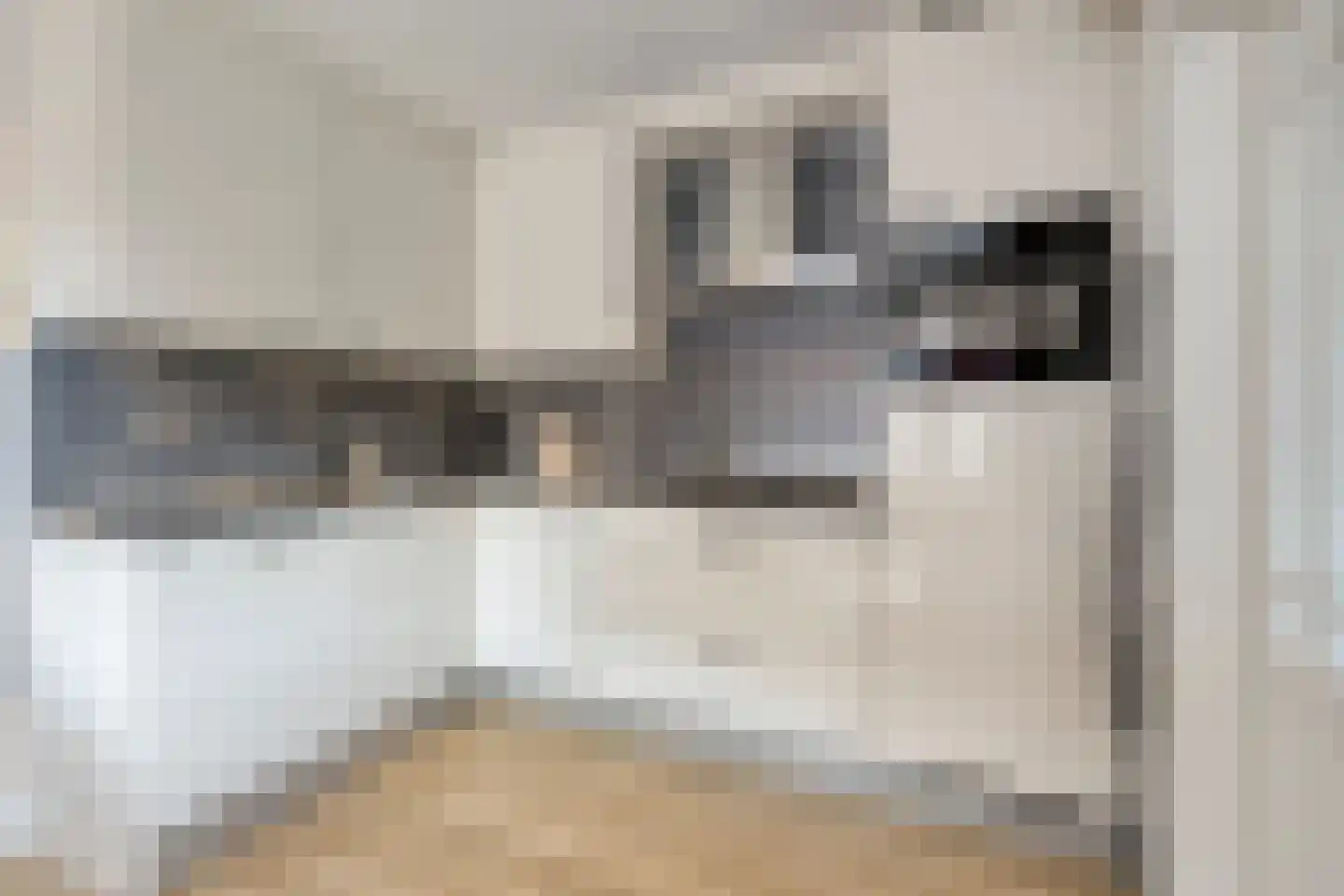 Zalm 32 Oss thumbnail 6