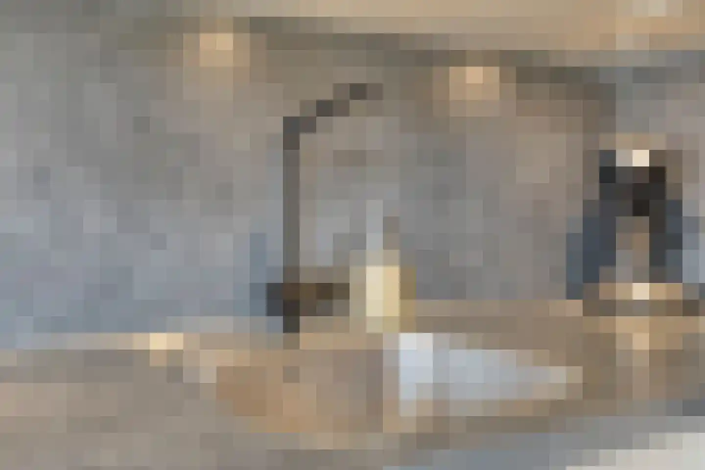 Zalm 32 Oss thumbnail 7