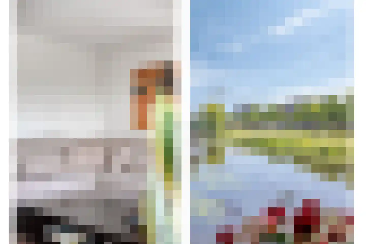 Zalm 33 Amersfoort thumbnail 11