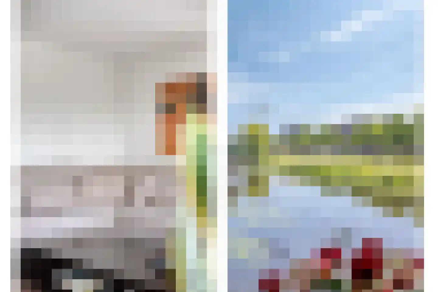 Zalm 33 Amersfoort thumbnail 13