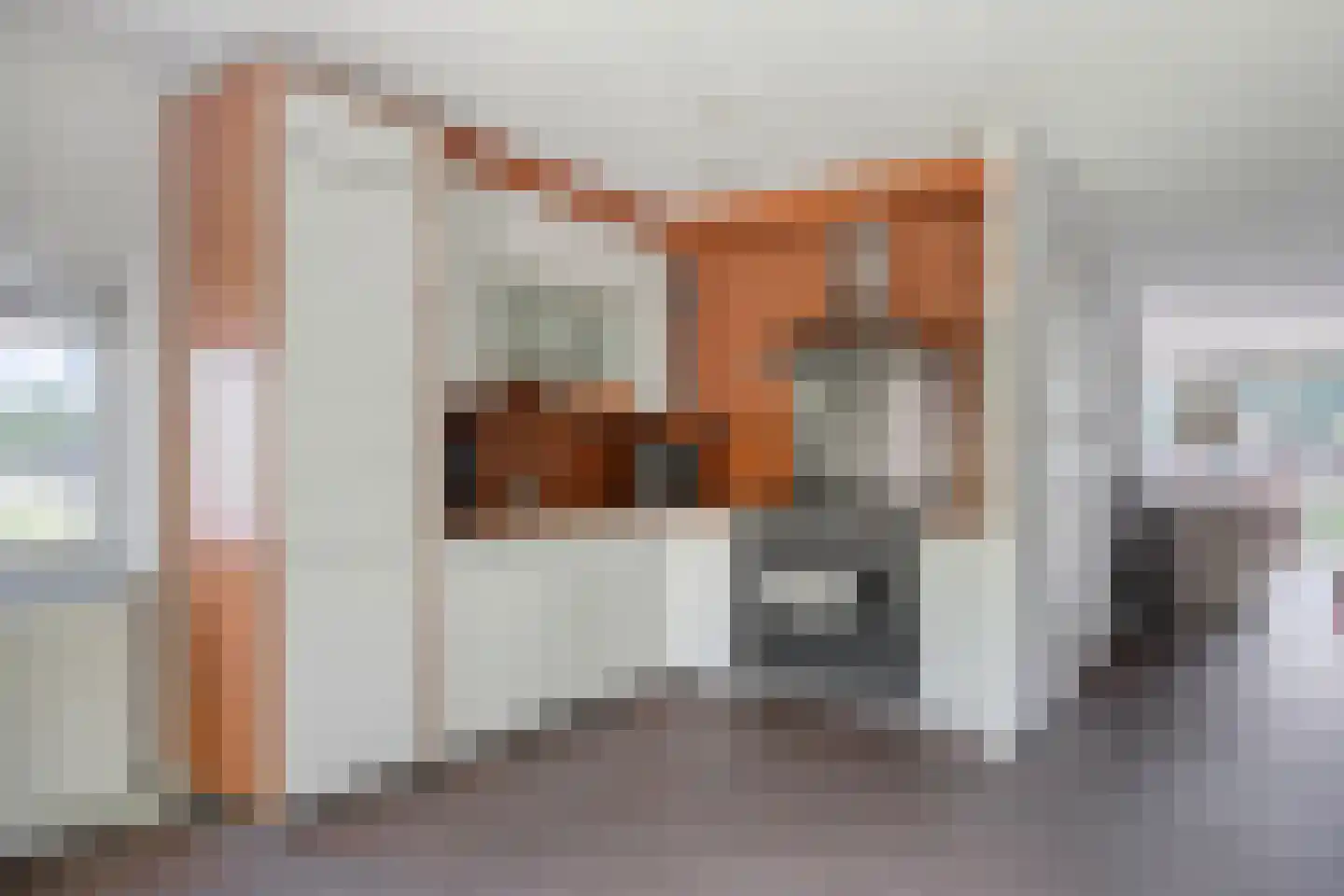 Zalm 33 Amersfoort thumbnail 17