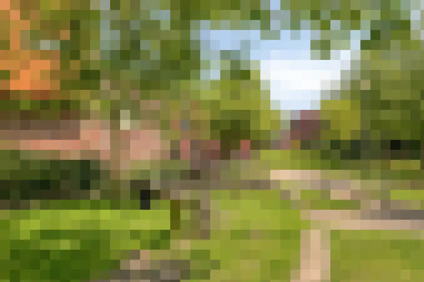 Zalm 33 Amersfoort thumbnail 34