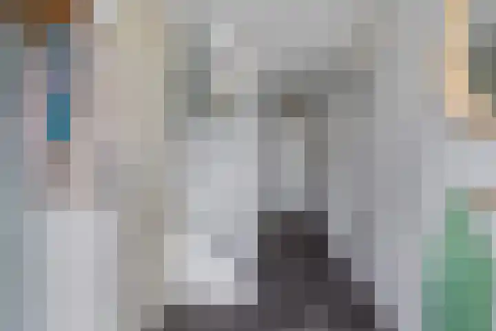 Zalm 5 Amersfoort thumbnail 106
