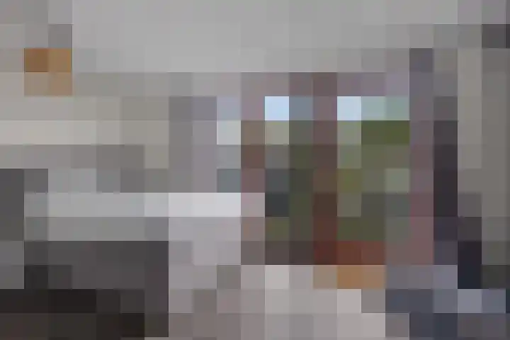 Zalm 5 Amersfoort thumbnail 107