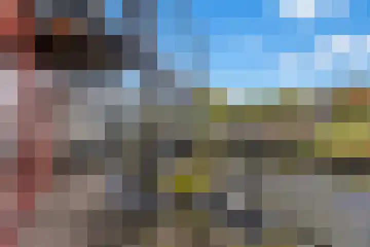 Zalm 5 Amersfoort thumbnail 109