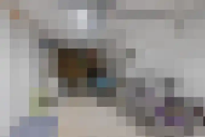 Zalm 5 Amersfoort thumbnail 113