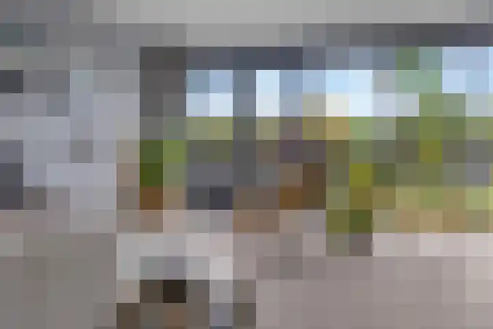 Zalm 5 Amersfoort thumbnail 12