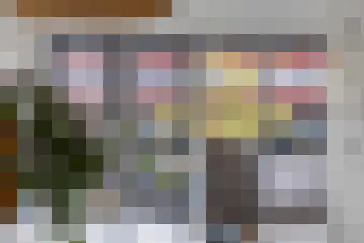 Zalm 5 Amersfoort thumbnail 19
