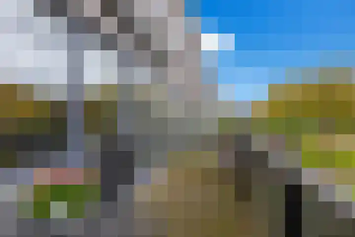 Zalm 5 Amersfoort thumbnail 28