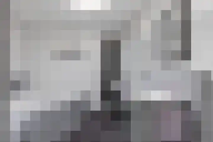 Zalm 5 Amersfoort thumbnail 46