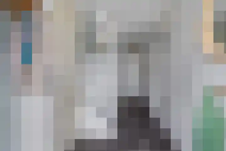 Zalm 5 Amersfoort thumbnail 47