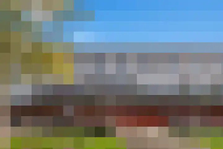 Zalm 5 Amersfoort thumbnail 5