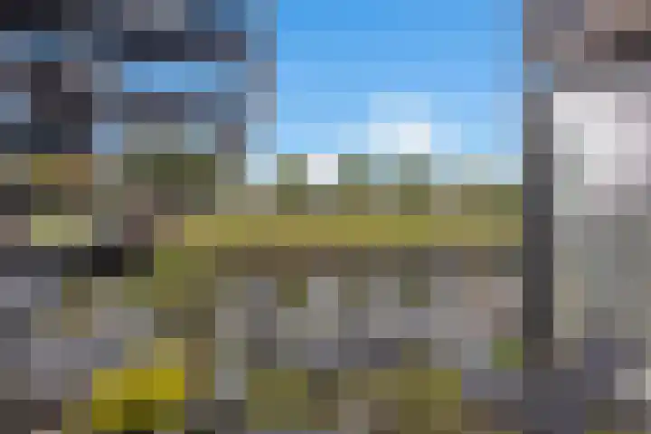 Zalm 5 Amersfoort thumbnail 51