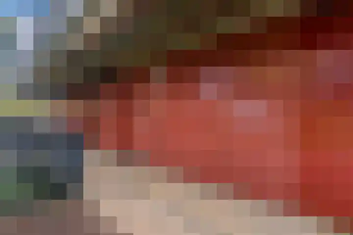 Zalm 5 Amersfoort thumbnail 6