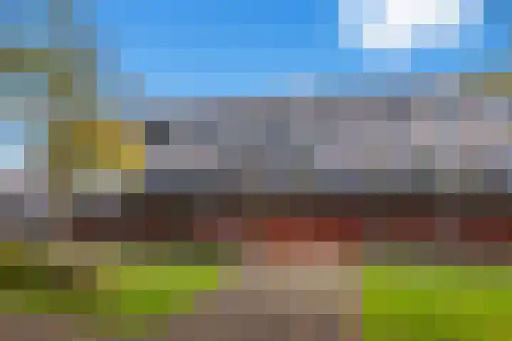 Zalm 5 Amersfoort thumbnail 60