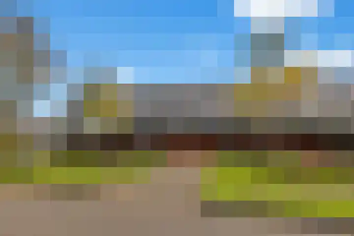 Zalm 5 Amersfoort thumbnail 63