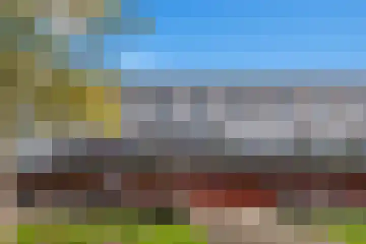 Zalm 5 Amersfoort thumbnail 64