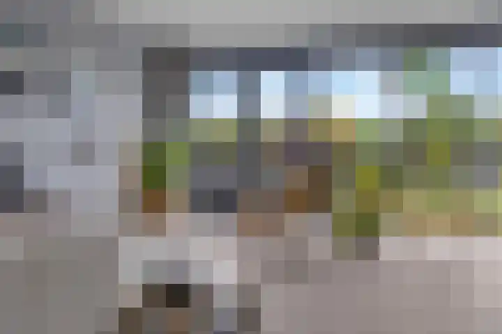 Zalm 5 Amersfoort thumbnail 71