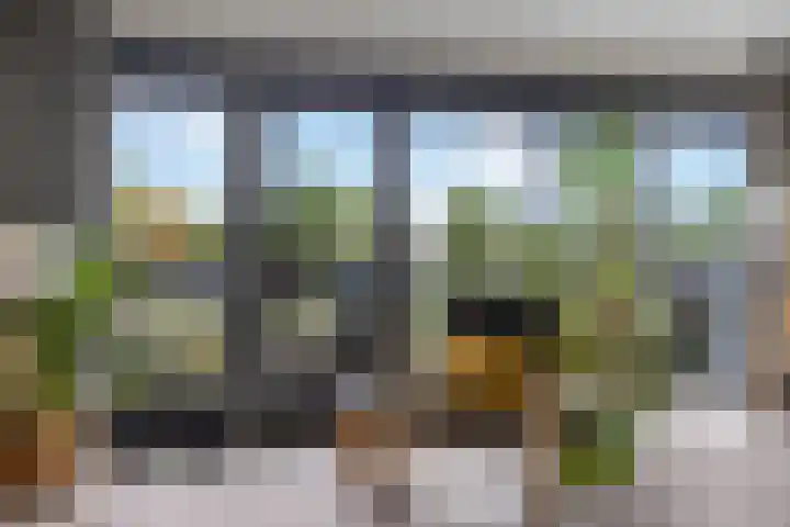 Zalm 5 Amersfoort thumbnail 72