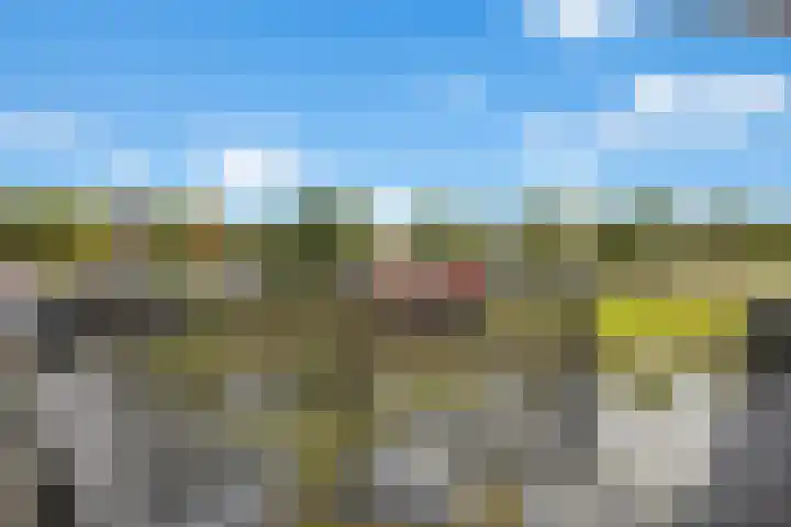 Zalm 5 Amersfoort thumbnail 73