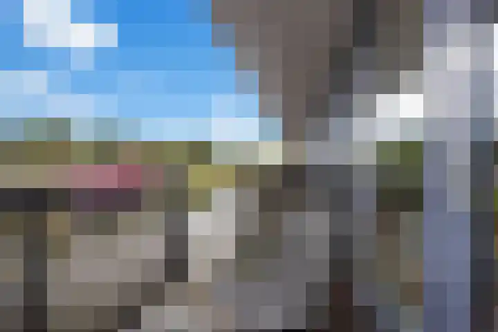 Zalm 5 Amersfoort thumbnail 74