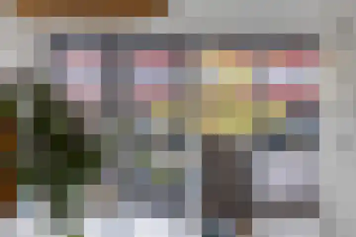 Zalm 5 Amersfoort thumbnail 78