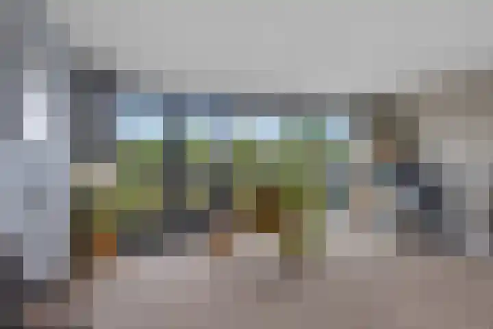 Zalm 5 Amersfoort thumbnail 8