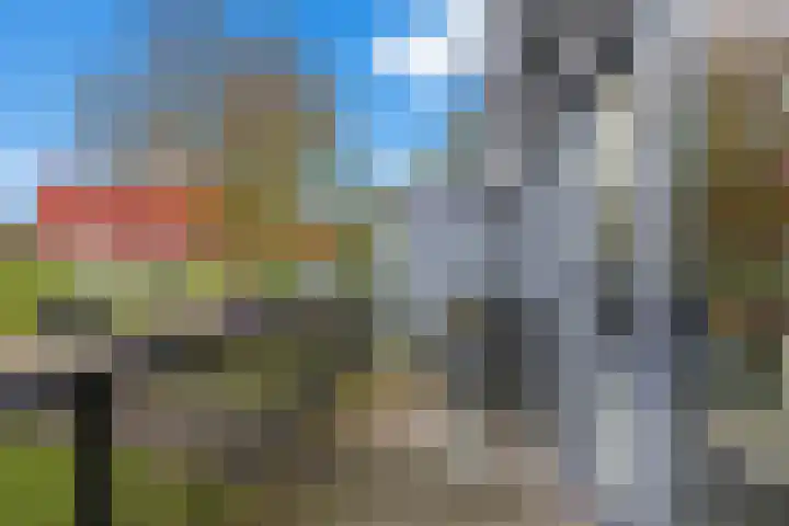 Zalm 5 Amersfoort thumbnail 86