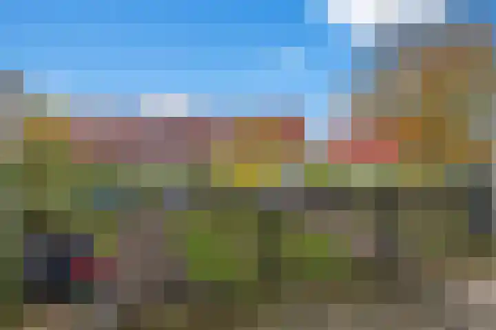 Zalm 5 Amersfoort thumbnail 88