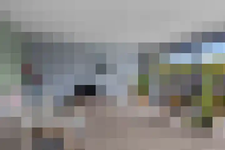 Zalm 5 Amersfoort thumbnail 9