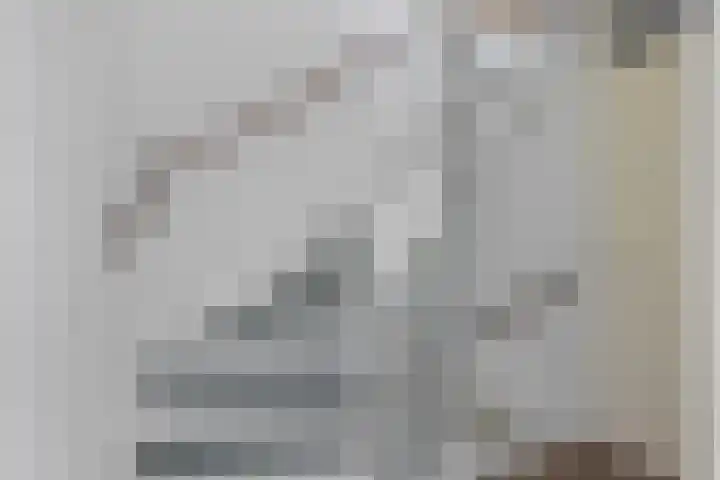 Zalm 5 Amersfoort thumbnail 91