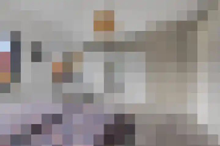 Zalm 5 Amersfoort thumbnail 96