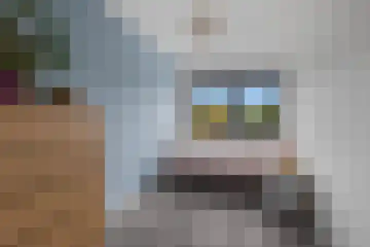 Zalm 5 Amersfoort thumbnail 99