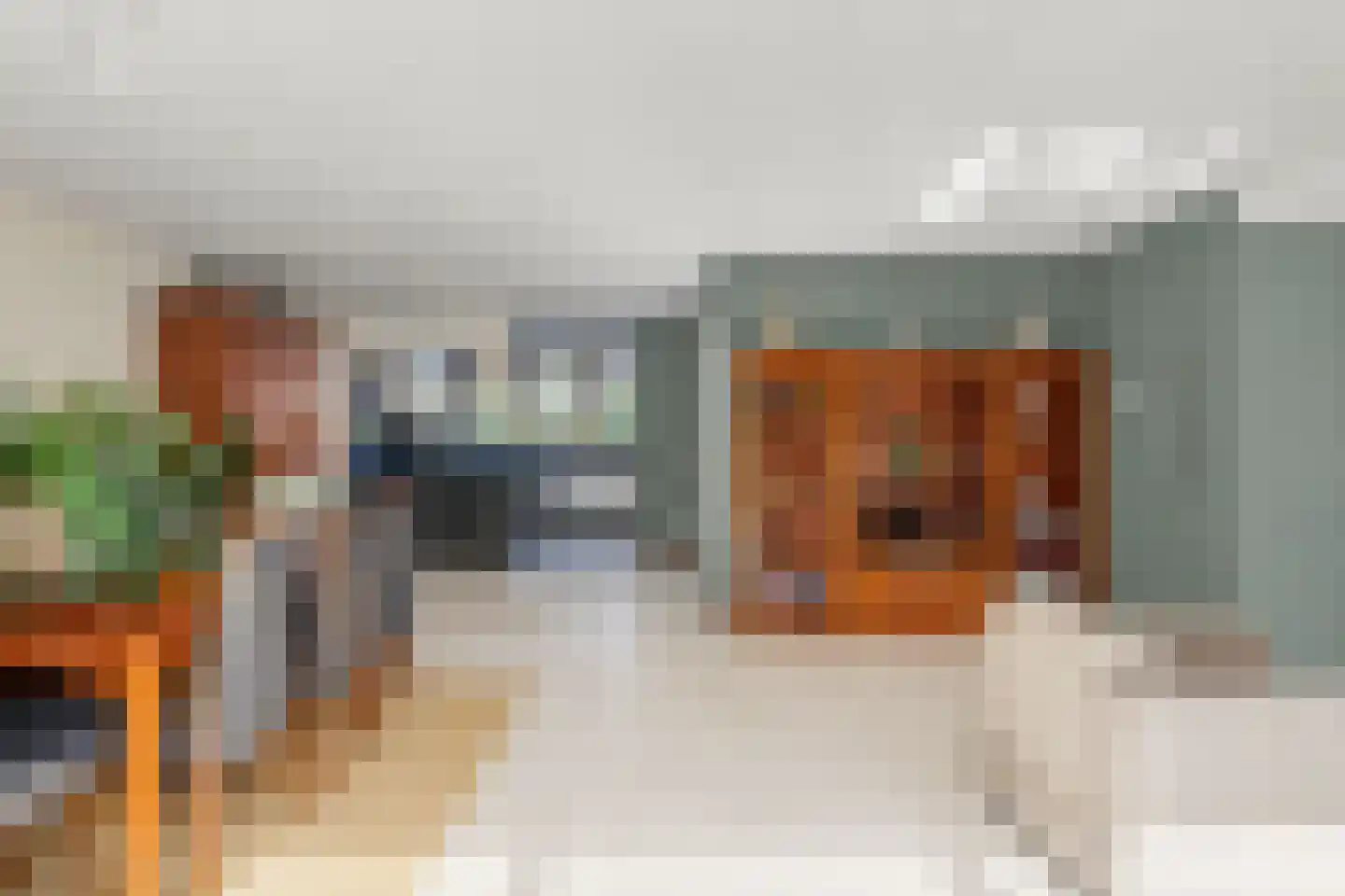 Zalm 54 Ridderkerk thumbnail 17